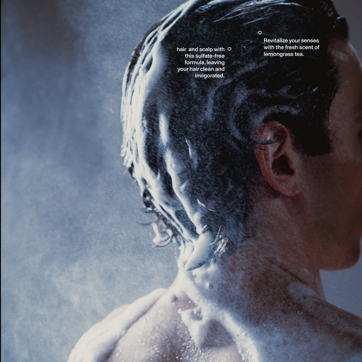 Lemongrass Tea Shampoo by Blind Barber